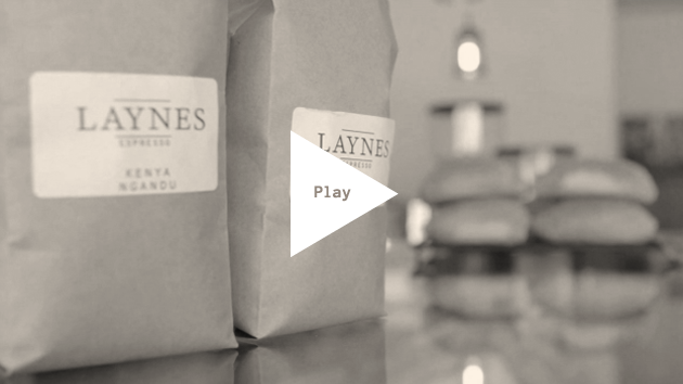 Laynes Video Frame